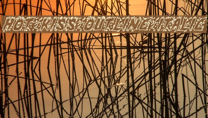 Hot Kiss Outline Italic Font examples