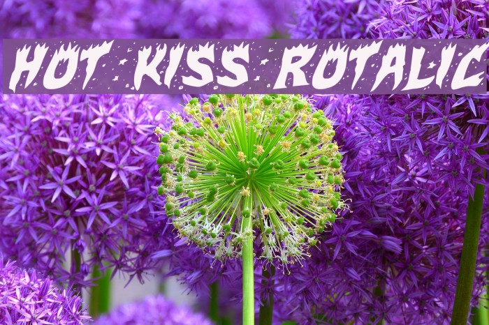 Hot Kiss Rotalic Font examples