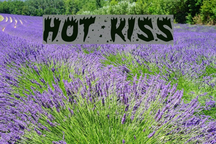 Hot Kiss Font examples