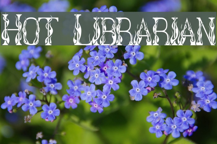 Hot Librarian Font examples