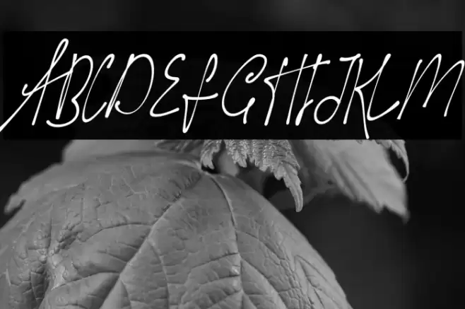 Hot Nice Font examples