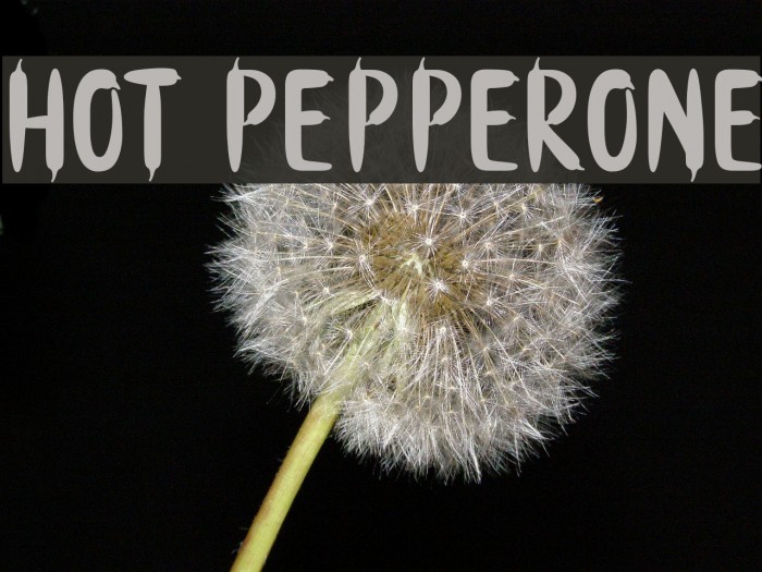 Hot PepperOne Font examples