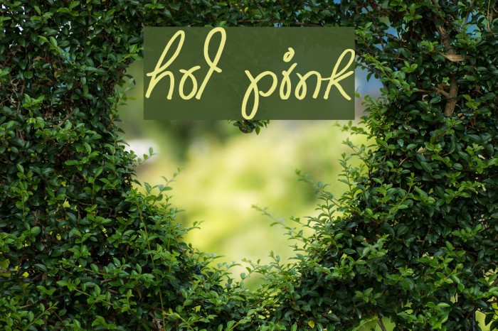 Hot Pink Font examples