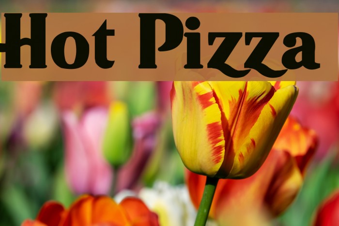 Spicy Pizza Font - Download Free Font