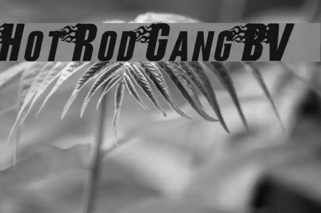Hot Rod Gang BV Font examples