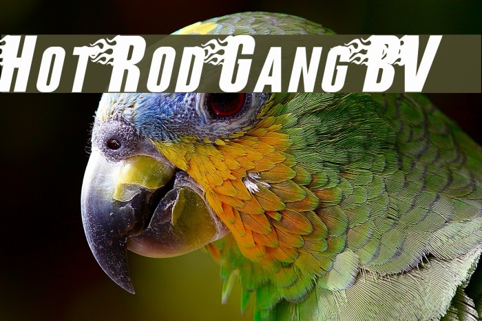 Hot Rod Gang BV Font examples