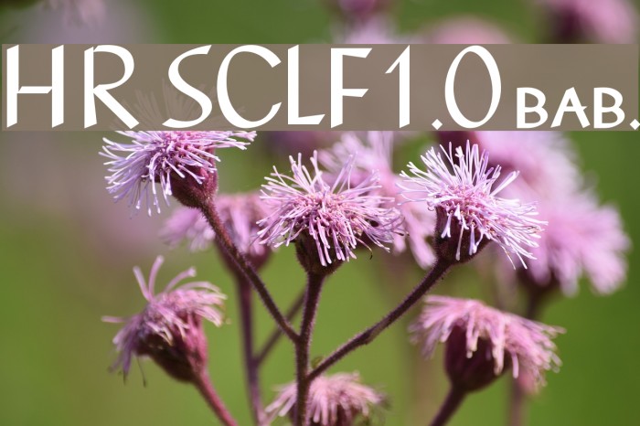 Hot Rod SCLF1.0 baby. Font examples