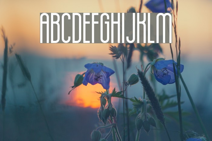 Hot Thin Roof Font examples