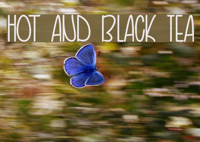 Hot and Black Tea Example 1