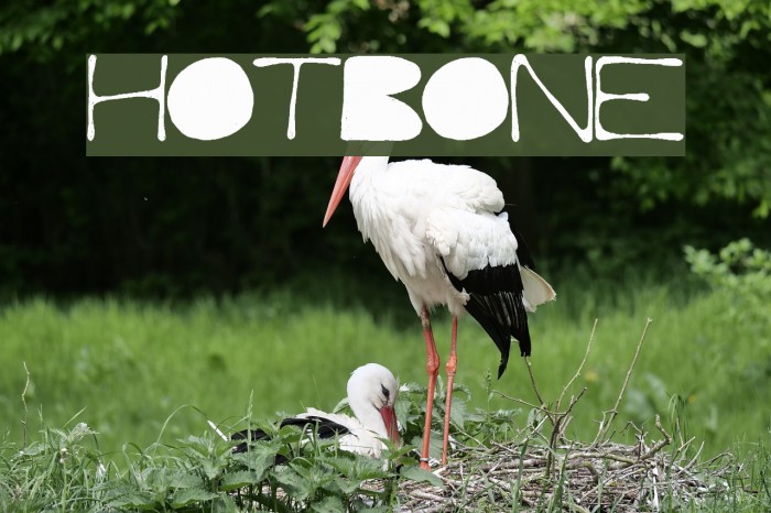 HotBone Font examples