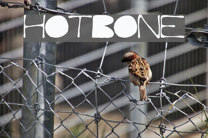 HotBone Font examples