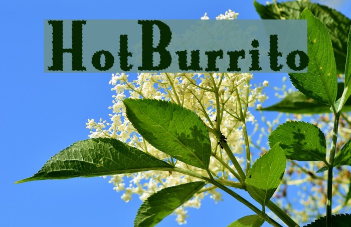 HotBurrito Font examples