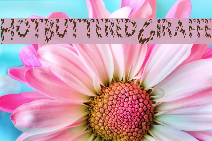 HotButteredGiraffe Font examples