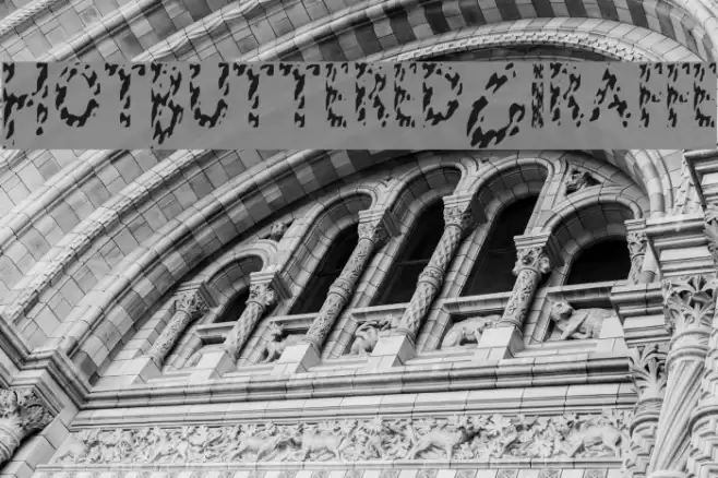 HotButteredGiraffe Font examples