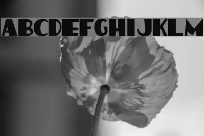 HotCoffeeFont Schriftart examples