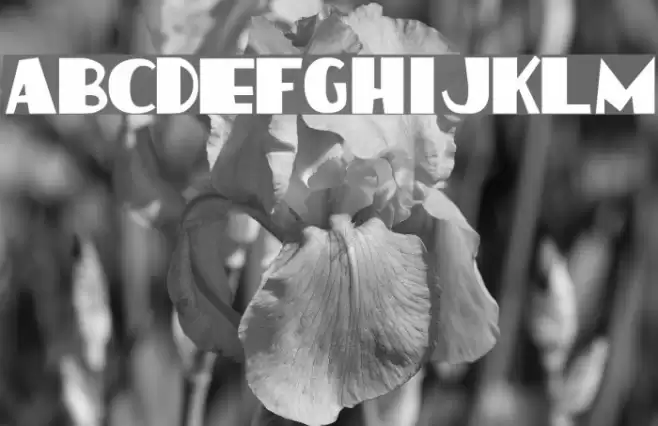 HotCoffeeFont Schriftart examples