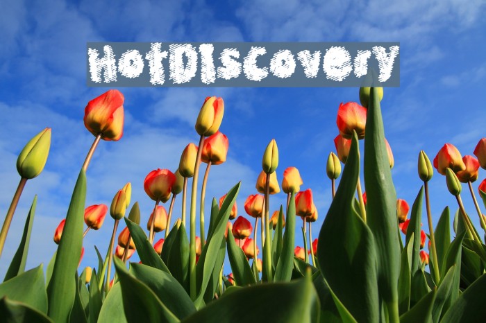 HotDiscovery Font examples