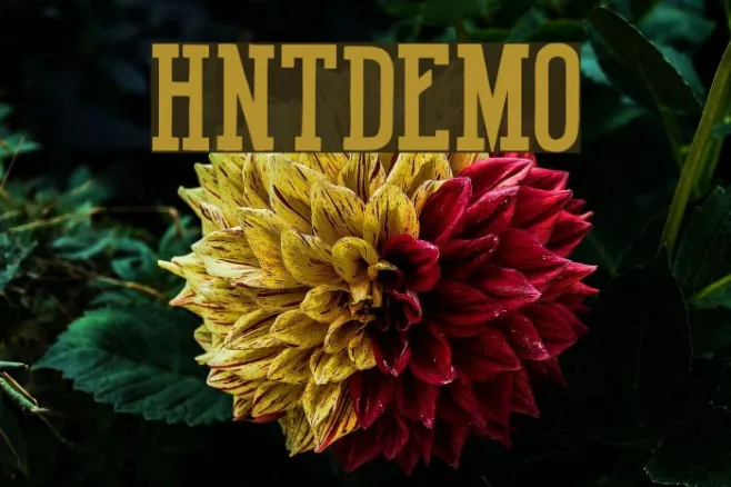 HotNationalTeamDEMO Example 1