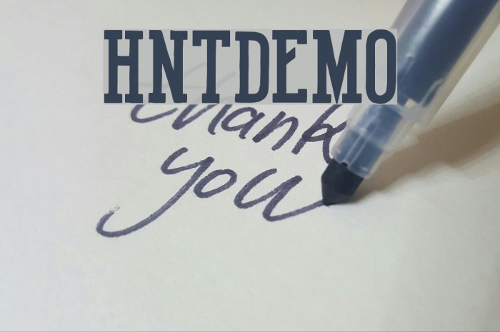 HotNationalTeamDEMO Font examples
