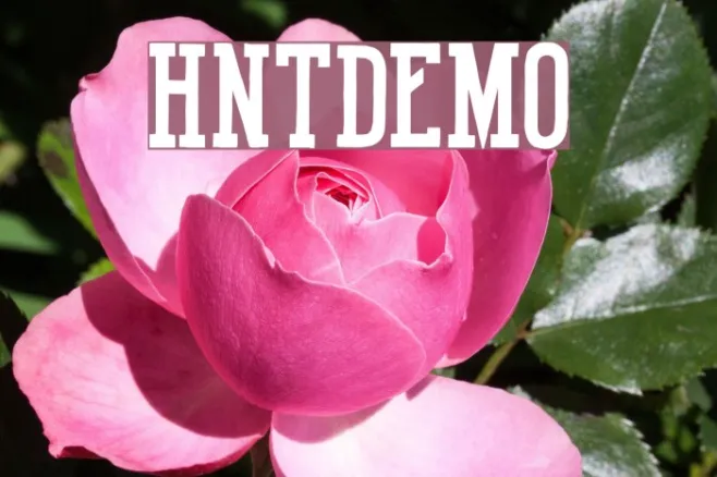 HotNationalTeamDEMO Example 3