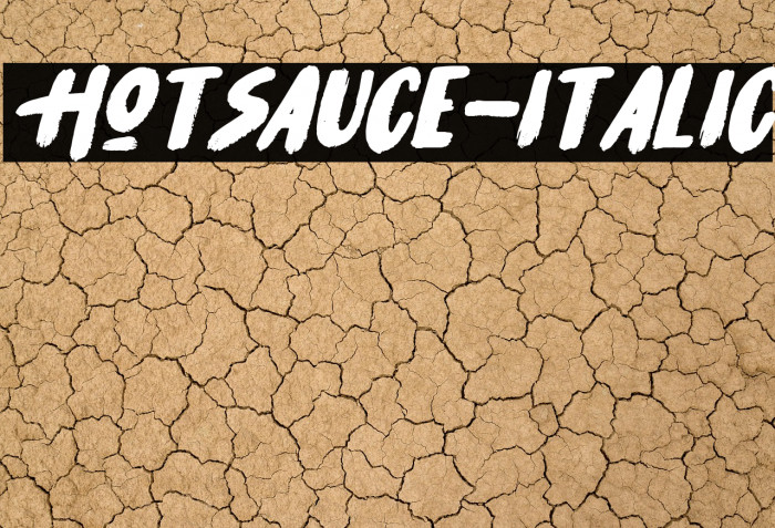 HotSauce-Italic Example 2