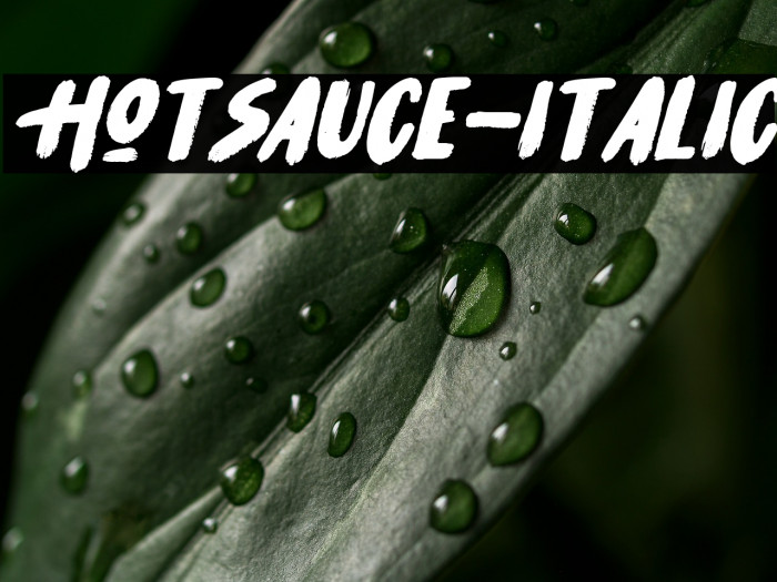 HotSauce-Italic Example 3