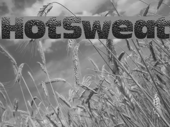 HotSweat Font examples