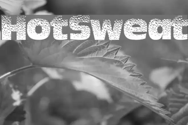 HotSweat Font examples