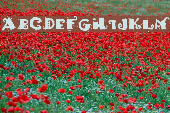 HotTamale Font examples
