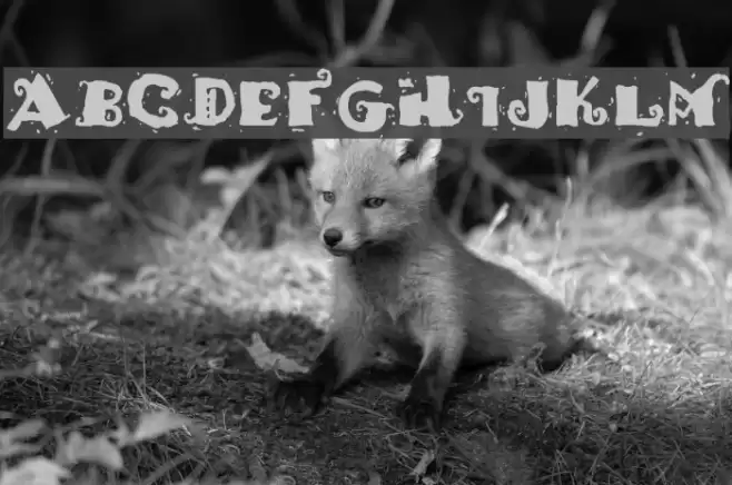 HotTamale Font examples