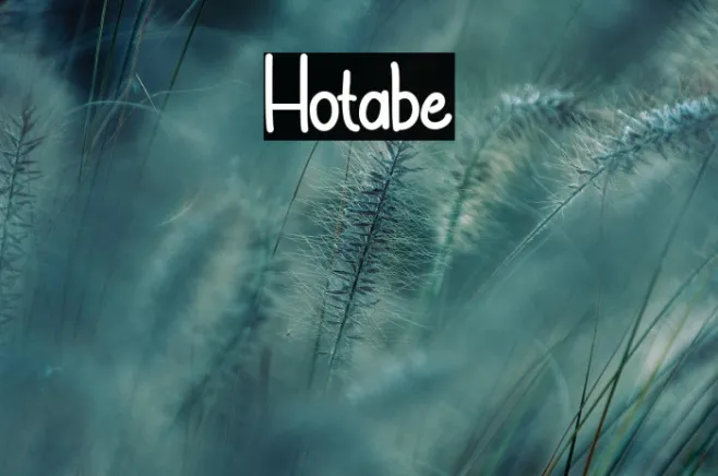 Hotabe Example 1