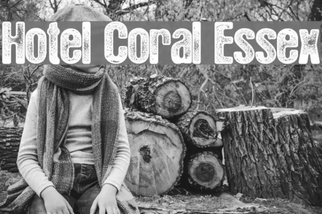 Hotel Coral Essex Font examples