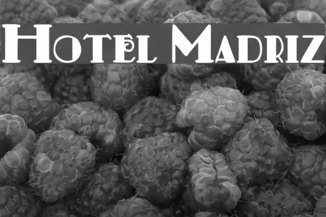 Hotel Madriz Font examples