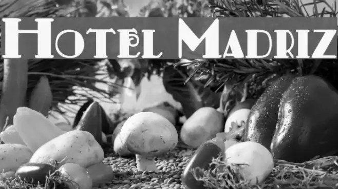 Hotel Madriz Font examples