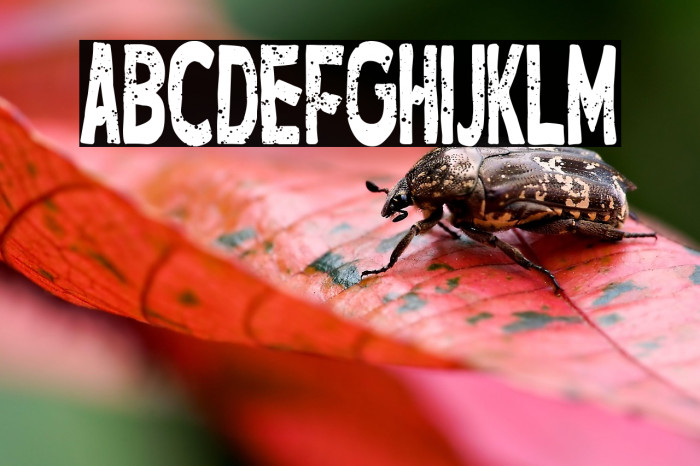 Hotel Manhattan Example 1