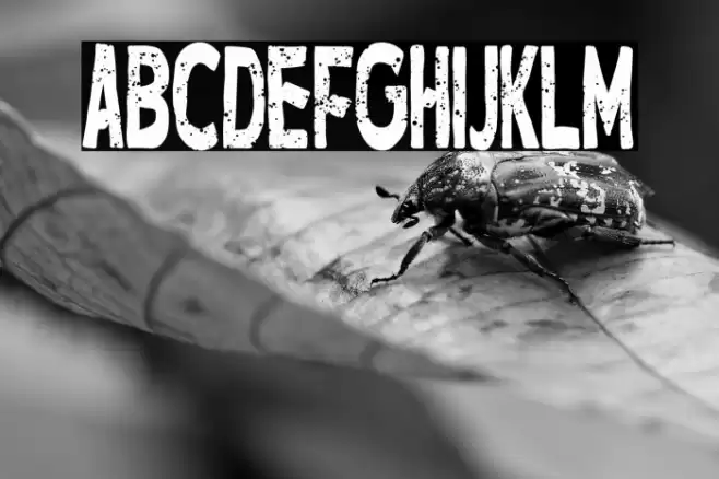 Hotel Manhattan Polices examples