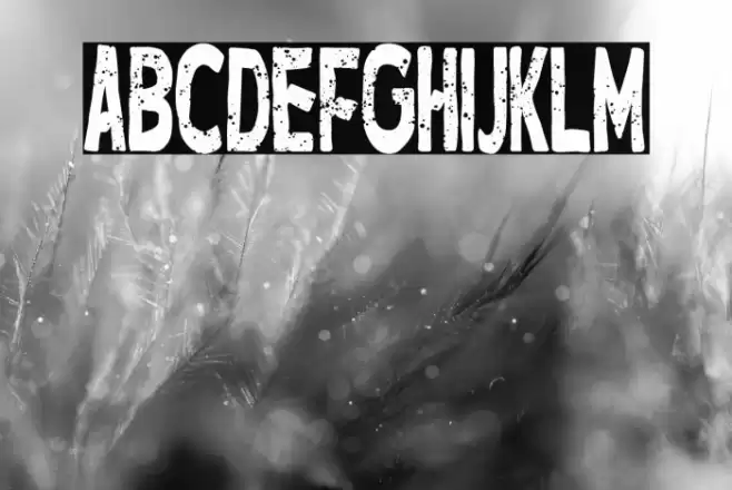 Hotel Manhattan Polices examples