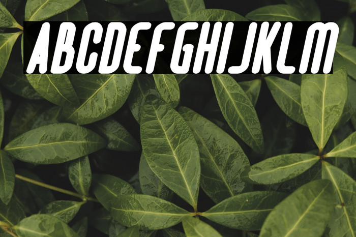 Hotel Motel Bold Italic Example 2