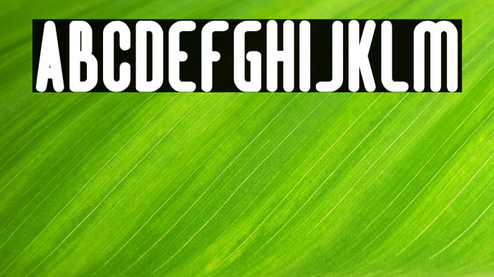 Hotel Motel Bold Example 1