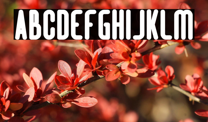 Hotel Motel Bold Example 2