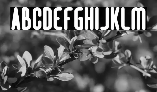 Hotel Motel Bold Font examples