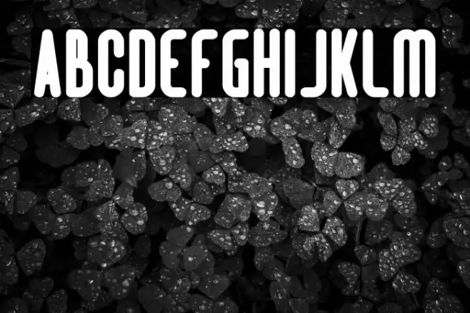 Hotel Motel Bold Font examples