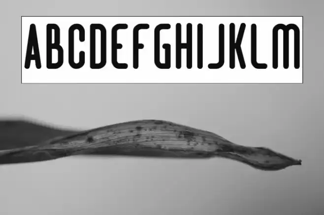 Hotel Motel-Inverse Font examples