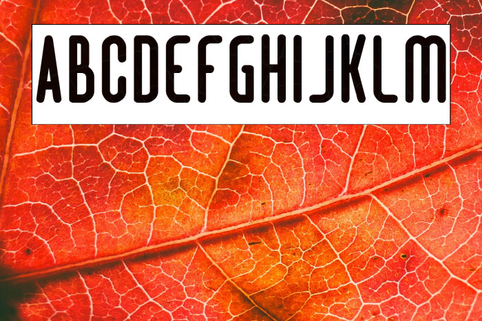 Hotel Motel-Inverse Example 3