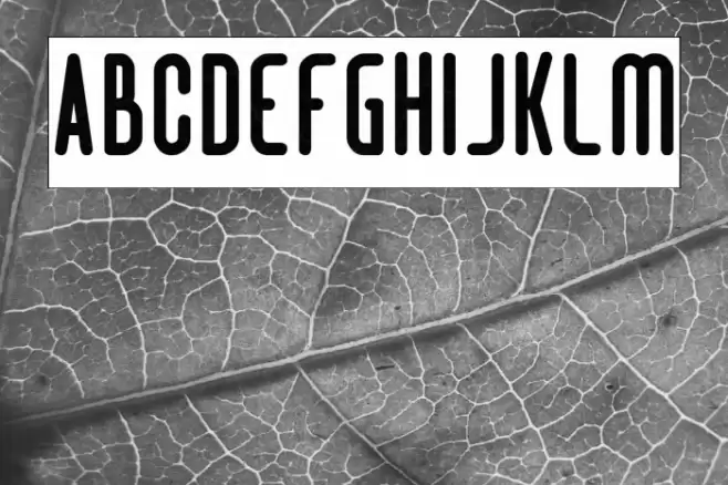 Hotel Motel-Inverse Font examples