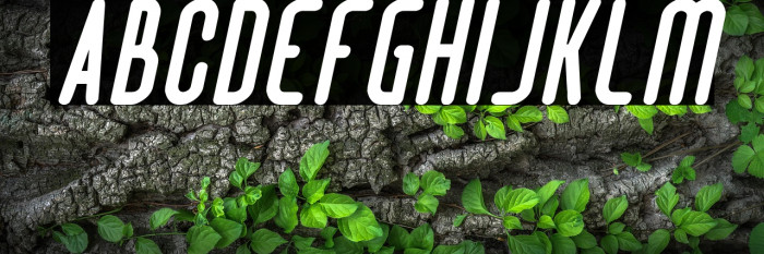 Hotel Motel Italic Example 3