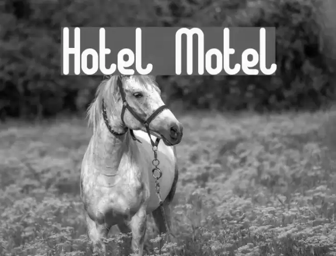 Hotel Motel Font examples
