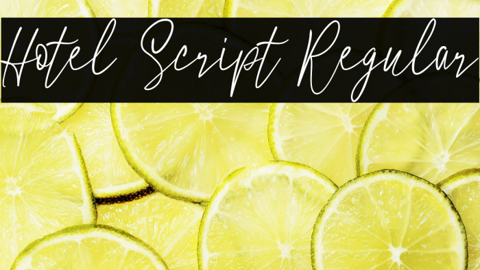 Hotel Script Regular Example 2