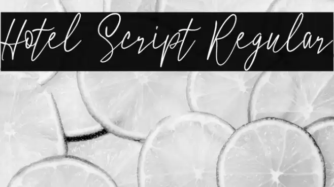 Hotel Script Regular خط examples