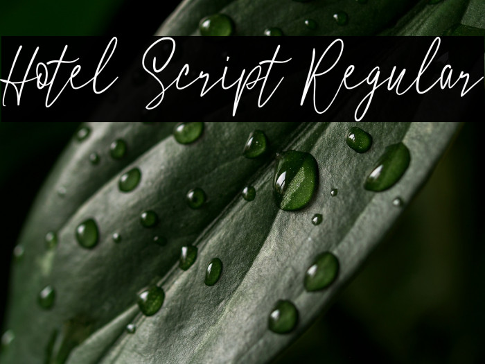 Hotel Script Regular Example 3